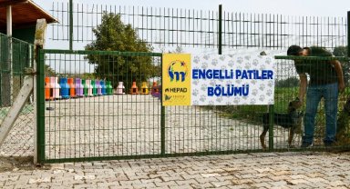 Bursa Mustafakemalpaşa'da 'Engelli Hayvan Birimi' faaliyette