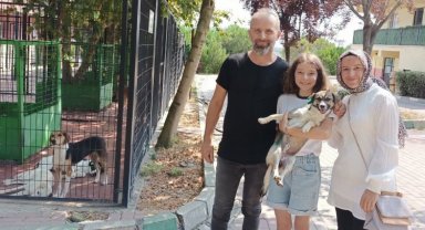 Bursa Osmangazi'de üç can dosta sıcak yuva