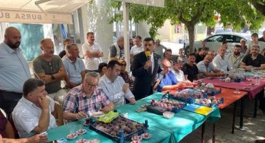 Bursa'da İYİ Partililer, incir üreticisinin mağduriyetini dile getirdi