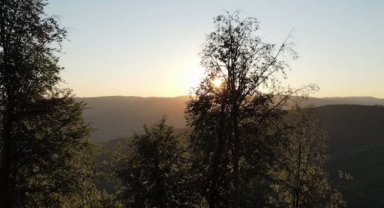 Bursa'da yaban hayatı fotokapanlara yansıdı