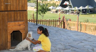 Çocuklara '360 Mini Çiftlik'te' hayvan sevgisi aşılanıyor