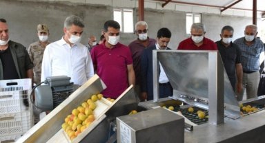 Egeli ihracatçılar kaliteli kuru meyve için çalışıyor