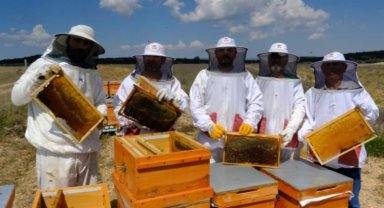 Girişimci kadınlardan bal gibi üretim