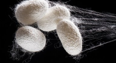 İpeğin büyülü dünyası Bursa'da vitrine çıkıyor