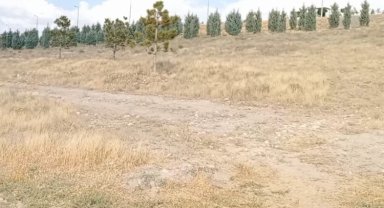 İYİ Parti Kayseri'den acı 'Şeker'