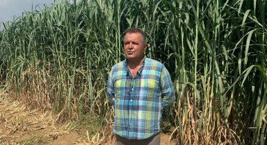 İzmir'de tarım ve hayvancılıkta rekor kıran hasat