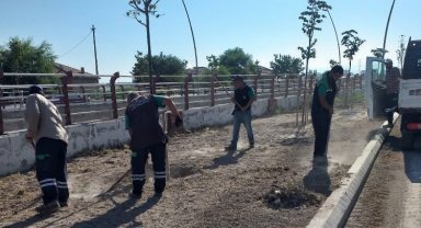 Kayseri Büyükşehir 'yeşil bant' çekti