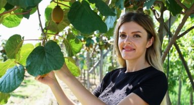 Kivi üreticilerinin yüzü güldü