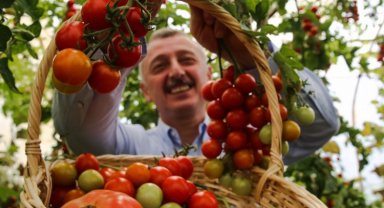 Kocaeli'de bereketli hasat