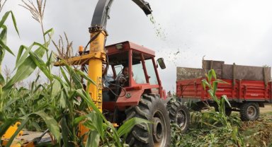 Kocaeli'de İzmit öz gücüyle hem tasarruf, hem de destek sağlıyor