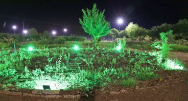 Piknik alanı cennete dönüyor