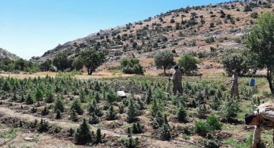 Terörün finansman kaynağına darbe