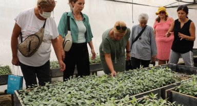 Tıbbi Aromatik Bitkiler Kursu'na yoğun ilgi
