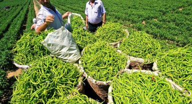 Ukrayna Tarım Heyeti Bursa Yenişehir Ovası'nda