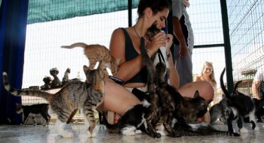 Adana'da sokak barınağına yabancı öğrencilerden tam not