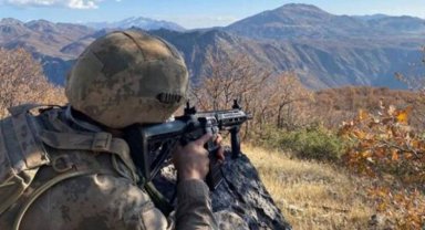 Barış Pınarı'nda 2 terörist etkisiz