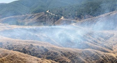 Bingöl'de örtü yangını ormanlık alana sıçramadan söndürüldü