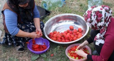 Bingöl'de üreticilerin kış hazırlığı