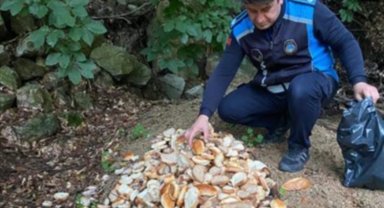 Bursa İnegöl'de Oylat AŞ'den yaban hayatına destek