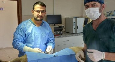 Bursa İnegöl'de veteriner hekimlerle iş birliği