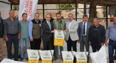 Bursa Karacabey'de üreticilere kanola tohumu dağıtıldı