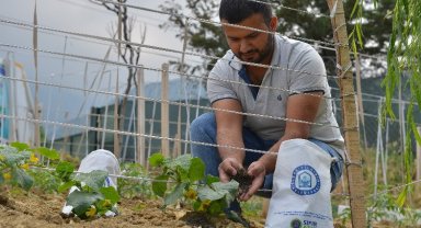 Bursa Yıldırım'da pazar atıkları toprağa can oluyor