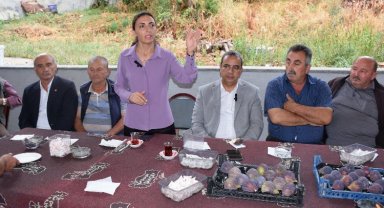 Bursa'da incir üreticilerinin isyanına CHP'liler ses oldu