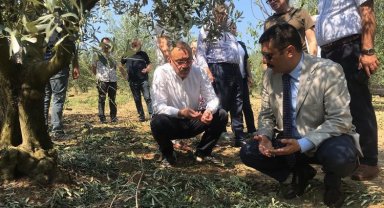 Bursalı çiftçinin zararı büyük