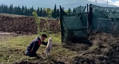 Çukura düşen yavru köpeği A Takımı kurtardı