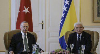 Cumhurbaşkanı Erdoğan Caferoviç'le görüştü