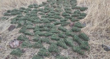 Diyarbakır'da terörün finans kaynaklarına darbe!