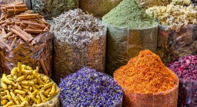 Dünya baharatına Ege'de yön verilecek