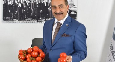 EİB: Domates konservesi ve salçası ihracatı sürüyor