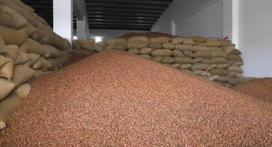 FINVER projesi meyvesini verdi