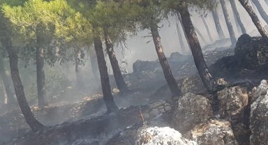 Hatay Antakya'da'daki yangın büyümeden söndürüldü