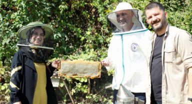 İnegöl'de bal hasadı başladı