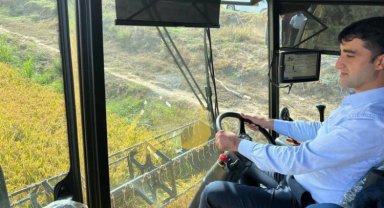 İpsala Ovası'nda çeltik hasadı başladı