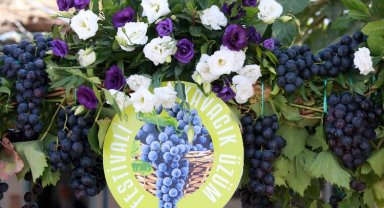 İzmir Karabağlar 'Kavacık Üzüm Festivali'ne hazırlanıyor