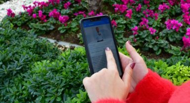 İzmir Narlıdere e-Devlet'te hizmet sayısını yükseltti