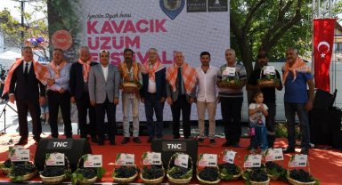 Kavacık'ta 10. Üzüm Festivali coşkusu