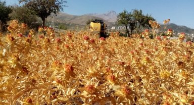 Kayseri Talas'tan tarım atılımı