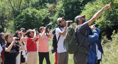 Kocaeli Ballıkayalar'da biyoçeşitlilik kayıt altında