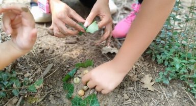Kocaeli İzmit'te çamurdan orman pastası hazırladılar