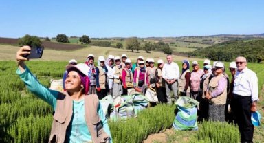 Kocaeli'nde tıbbı aromatik merkez