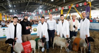 Küçükbaş hayvancılık sektörünün kalbi Bursa İnegöl'de attı