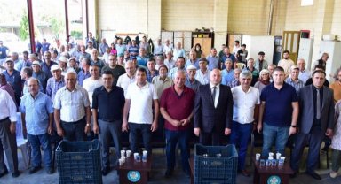 Manisa Kula'da 210 üreticiye daha zeytin kasası desteği