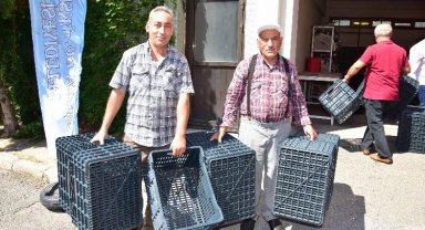 Manisa Salihli'deki üreticiler zeytin kasalarına kavuştu