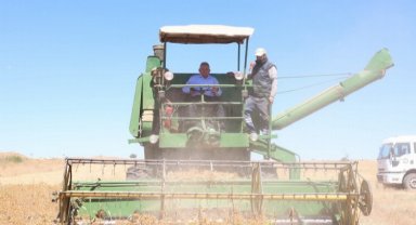 Memduh Büyükkılıç hasat yaptı