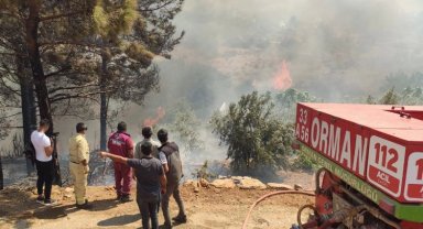 Mersin'deki orman yangınında ikinci gün... 820 kişilik barınma planlaması yapıldı