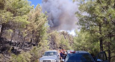 Muğla Marmaris'teki yangında soğutma çalışmaları sürüyor